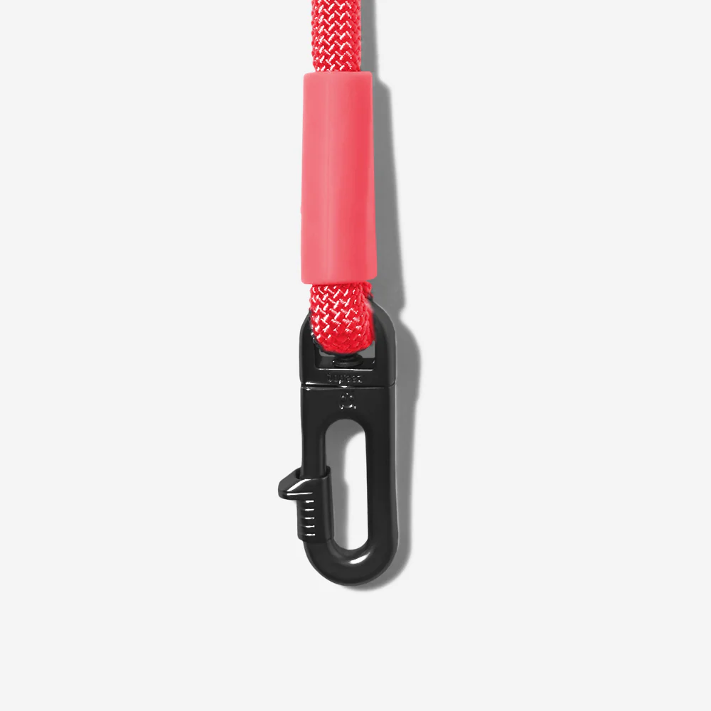 Neon Coral | Hands-Free Leash - Image 6