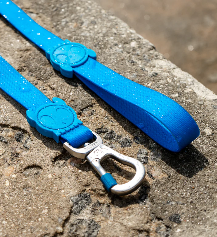 Neopro Blue | Leash - Image 9