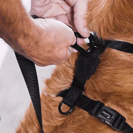Neopro Bubblegum | Waterproof H-Harness - Image 3