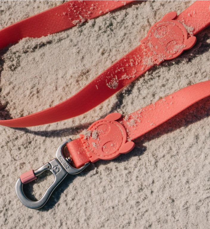 Neopro Bubblegum | Waterproof Leash - Image 12