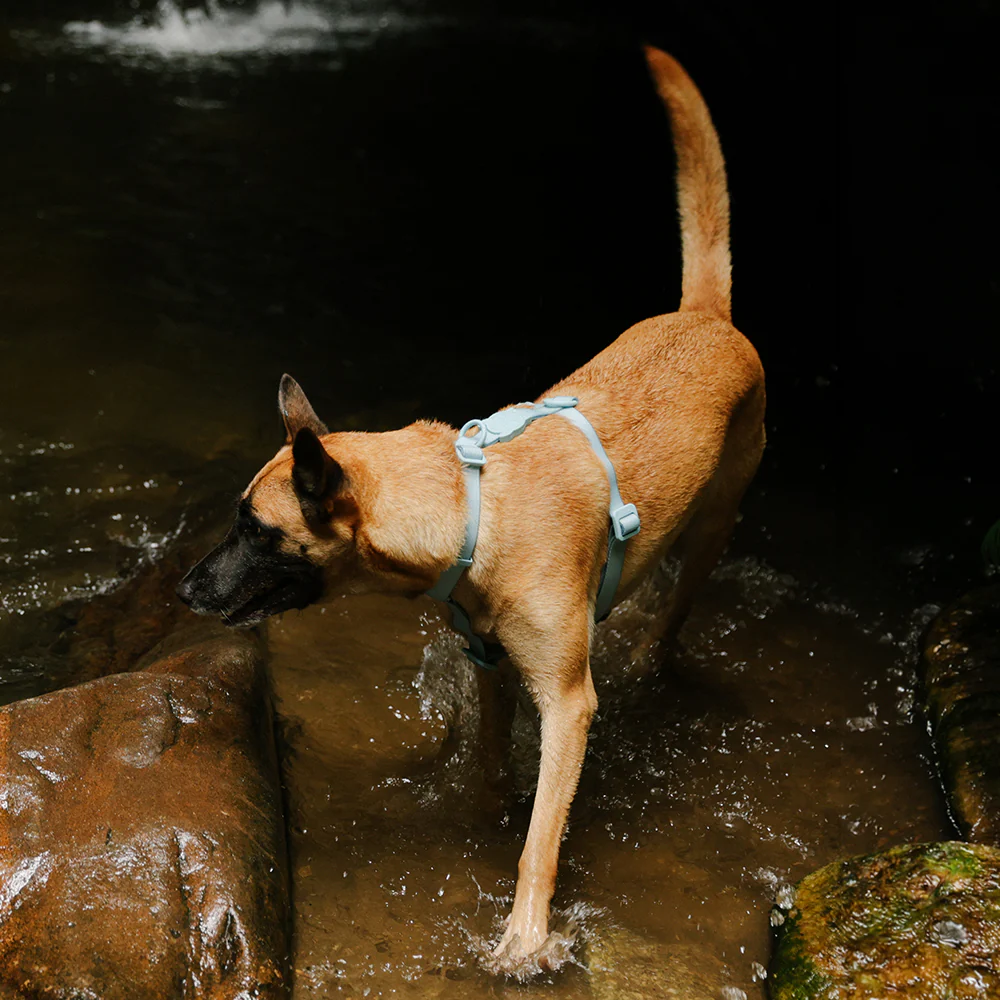 Neopro Cloudy | Waterproof H-Harness - Image 3