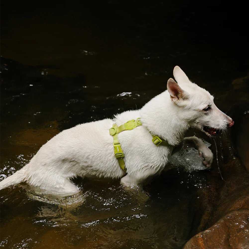 Neopro Matcha | Waterproof H-Harness - Image 3