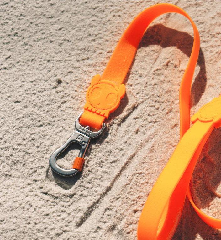 Neopro Tangerine | Waterproof Leash - Image 12