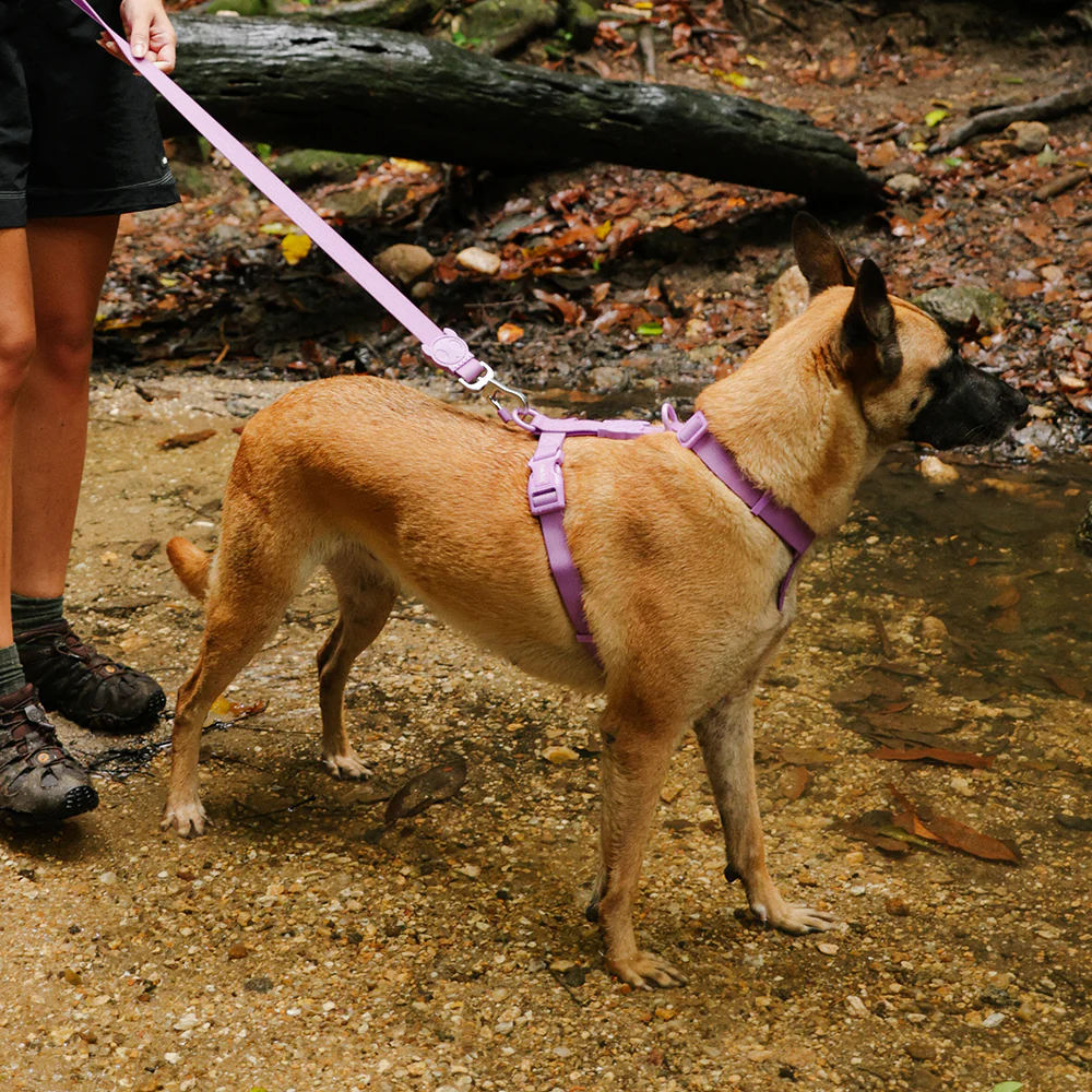 Neopro Ultra Violet | Waterproof H-Harness - Image 3