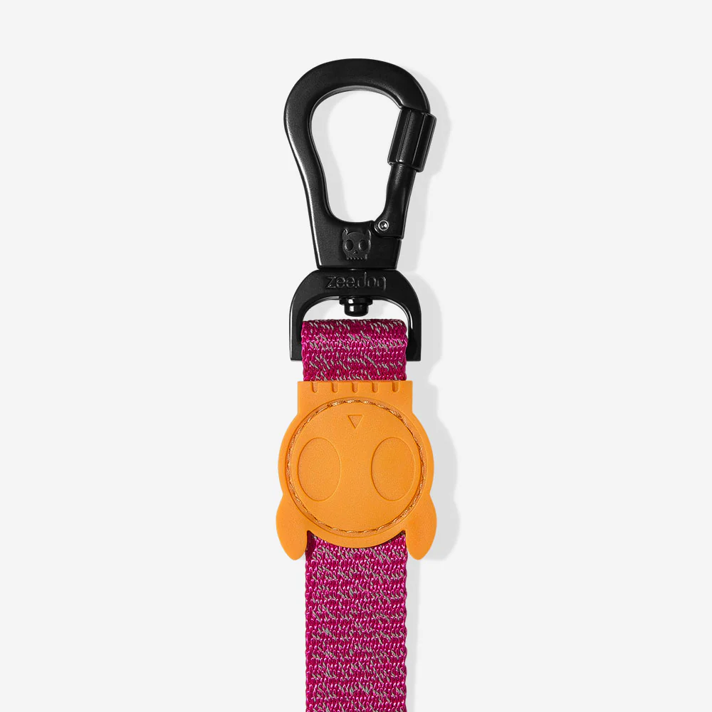 NOX Sidus | Leash - Image 2