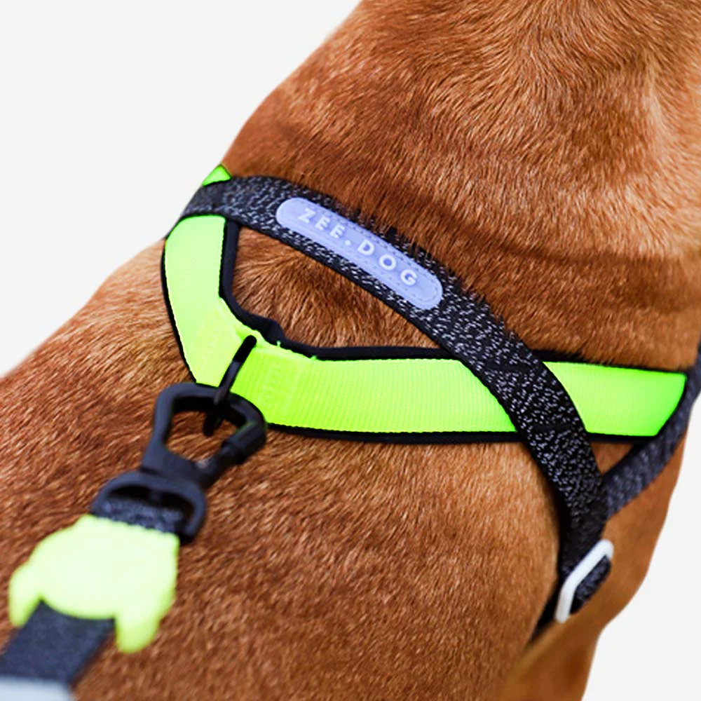 NOX | SofterWalk Harness - Image 3