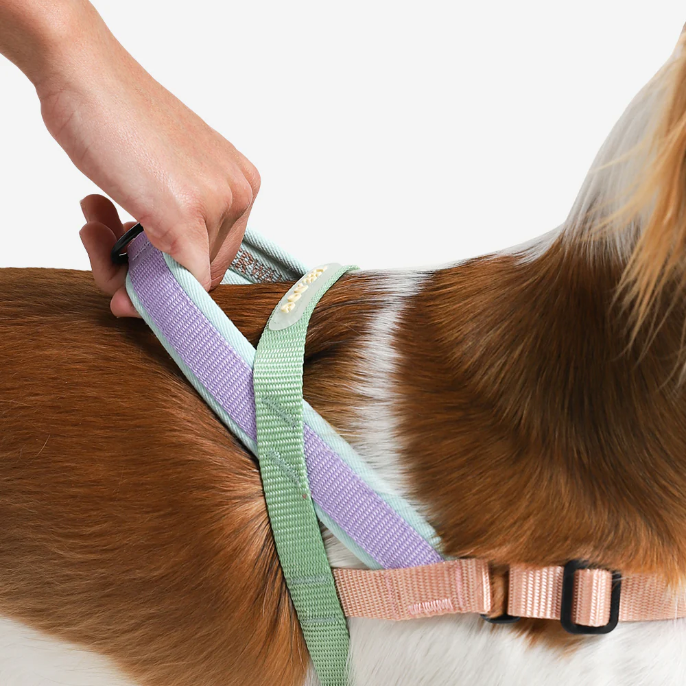Peach | SofterWalk Harness - Image 3