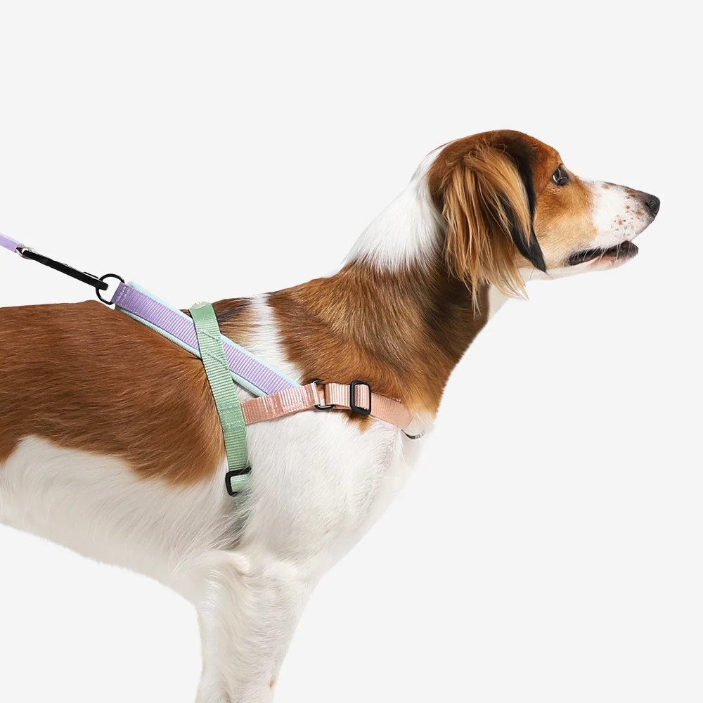 Peach | SofterWalk Harness - Image 4
