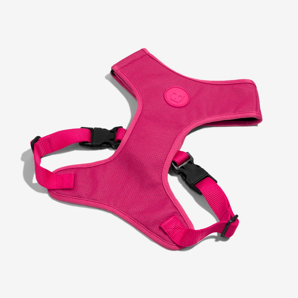 Pink LED | Adjustable Air Mesh Harness - Image 5