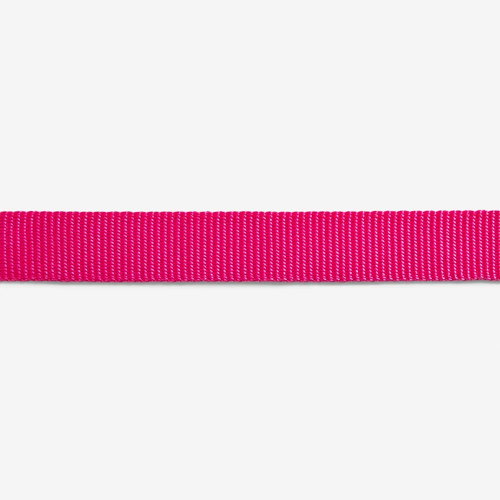 Pink LED | Leash - Image 6