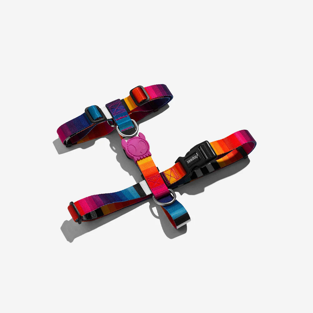Prisma | Dog H Harness - Image 3