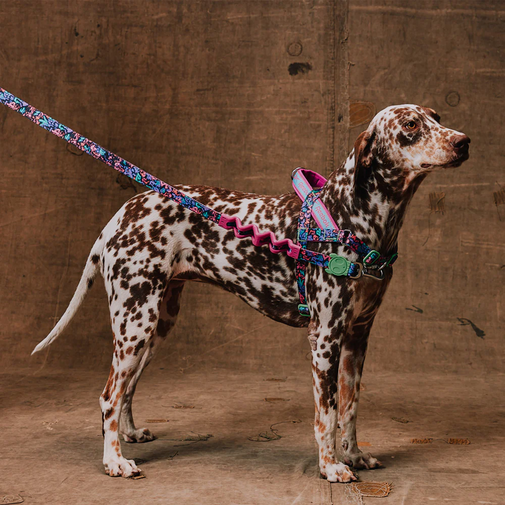 Reebok Aerobic | SofterWalk Harness - Image 2