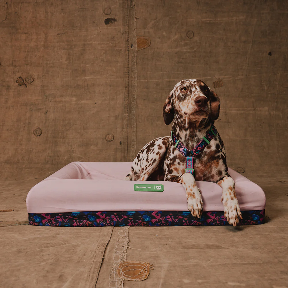 Reebok Aerobic | Zee.Bed - Image 5