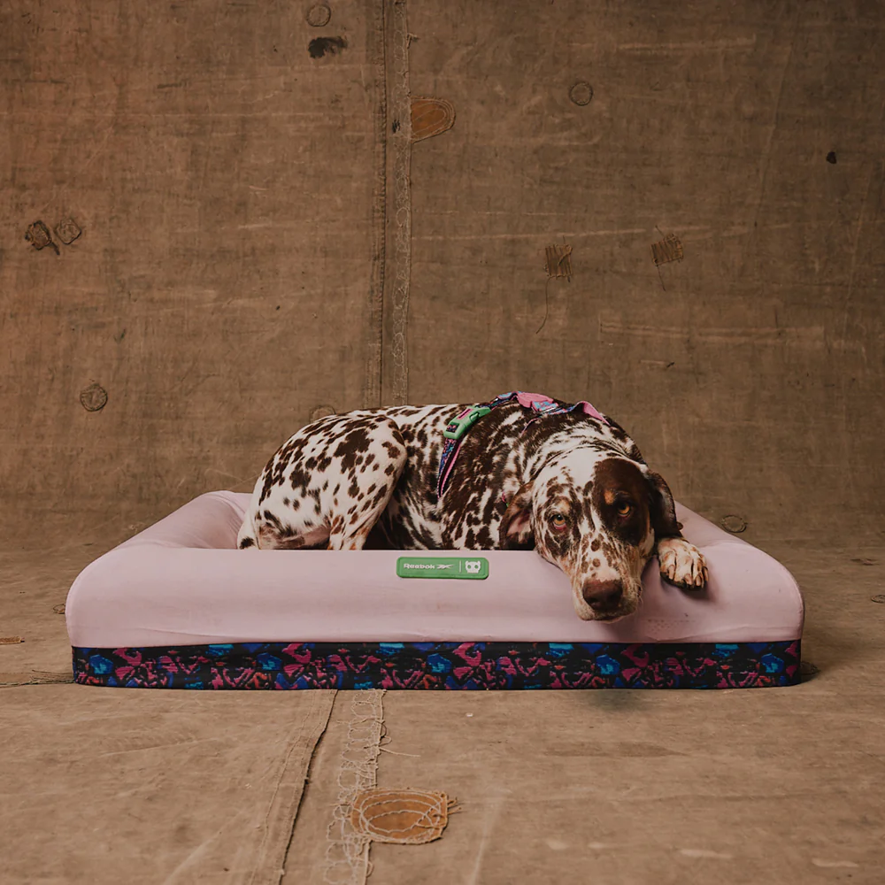 Reebok Aerobic | Zee.Bed - Image 6
