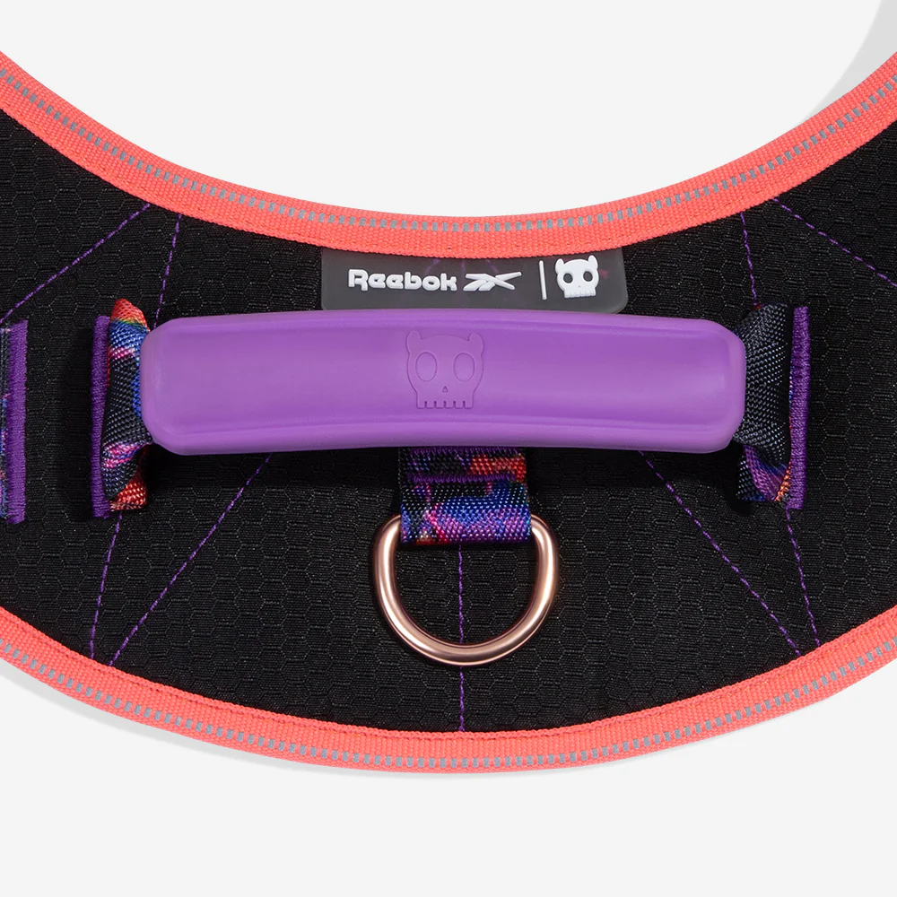 Reebok Court | Flyharness - Image 3