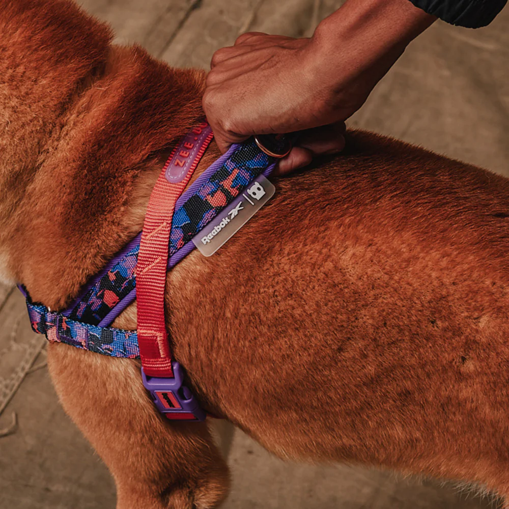 Reebok Court | SofterWalk Harness - Image 3