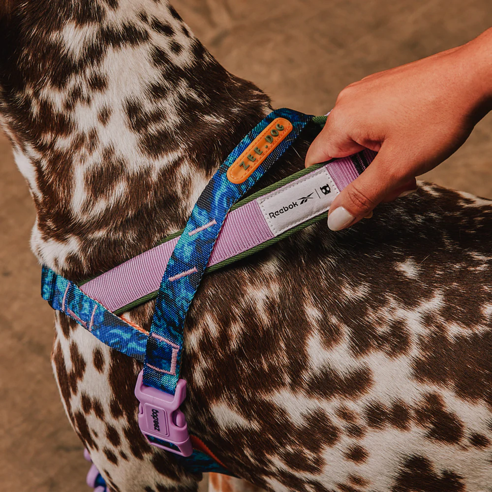 Reebok Trekk | SofterWalk Harness - Image 3