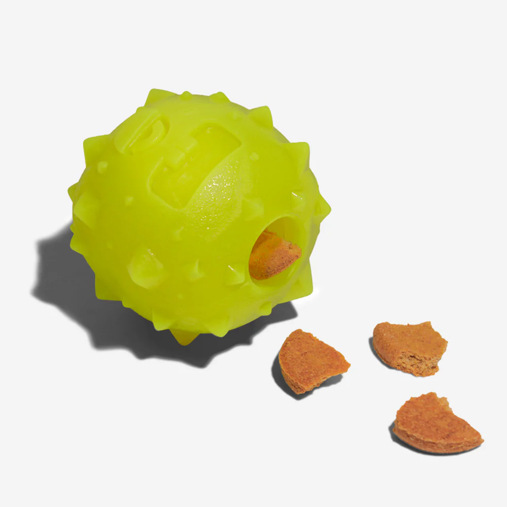 Rob the Microbe | Dog Toy - Image 3