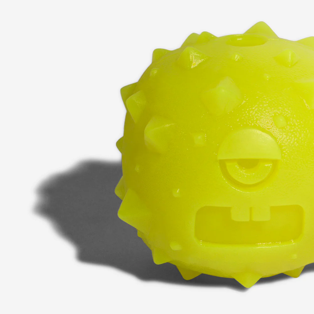 Rob the Microbe | Dog Toy - Image 4