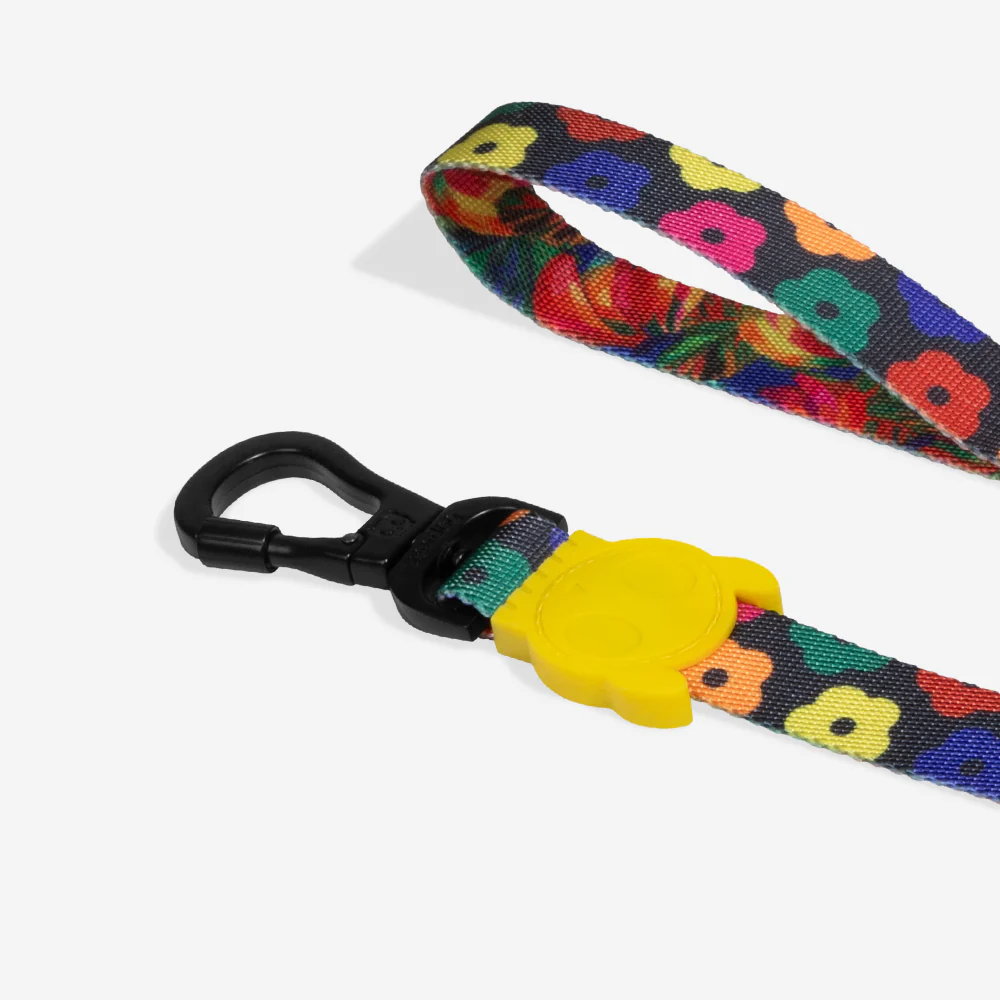 Samba | Leash - Image 3