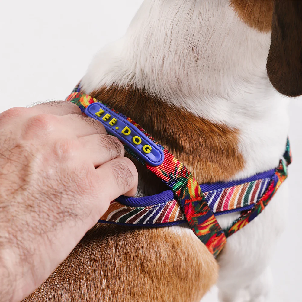 Samba | SofterWalk Harness - Image 3