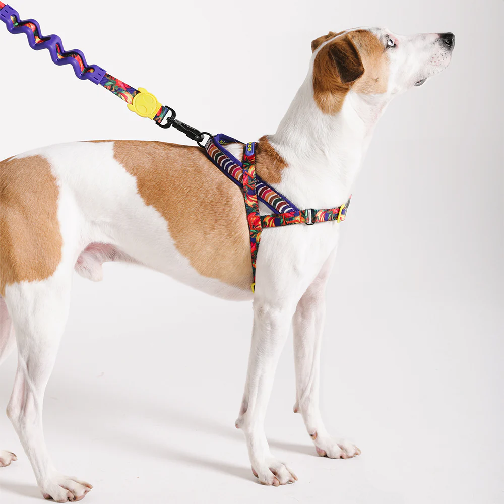 Samba | SofterWalk Harness - Image 4