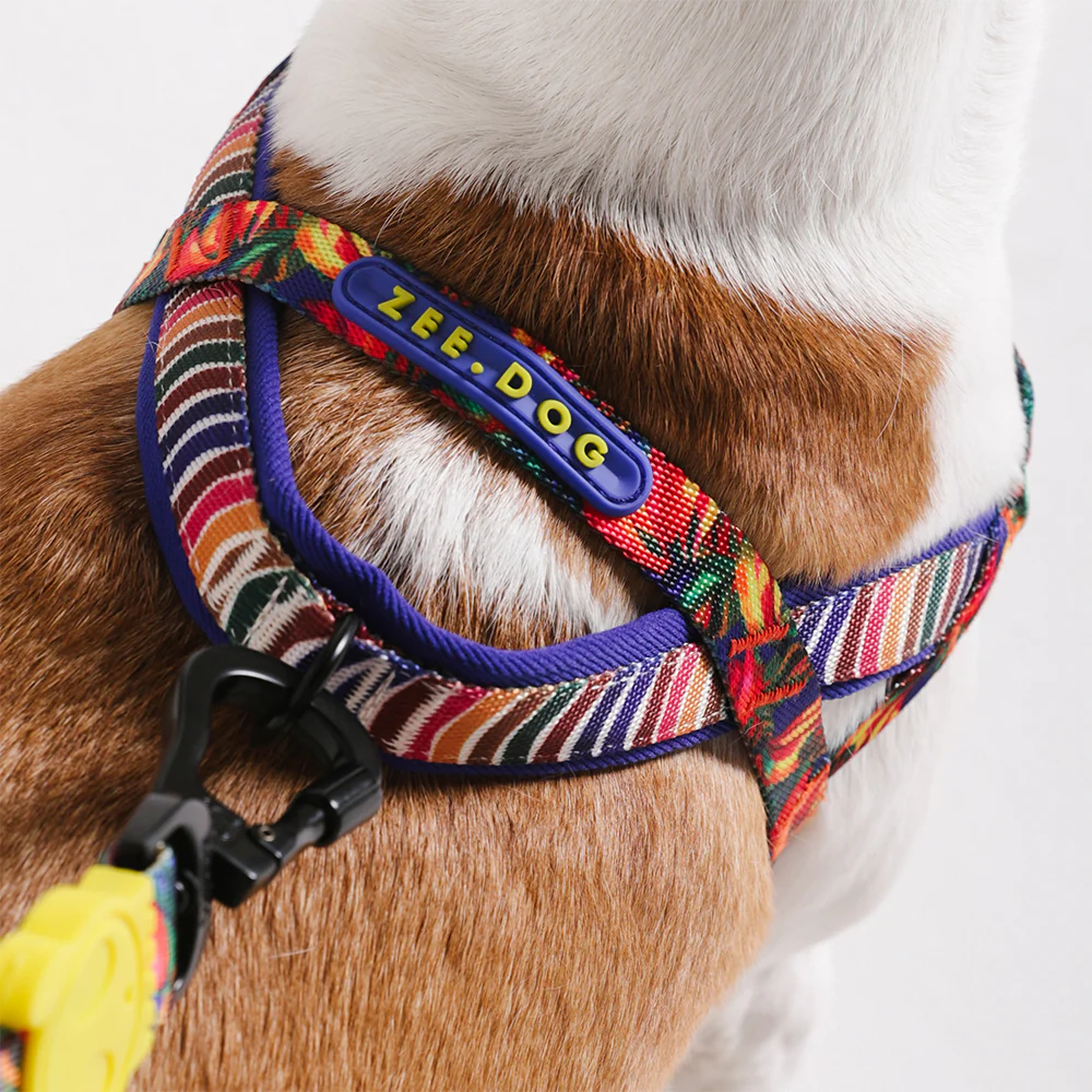 Samba | SofterWalk Harness - Image 5