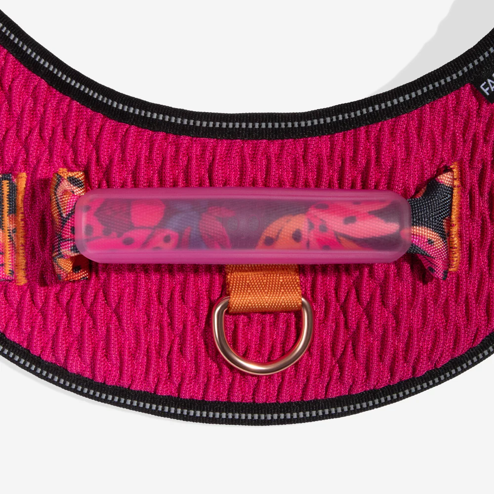 Selva | FlyHarness - Image 3