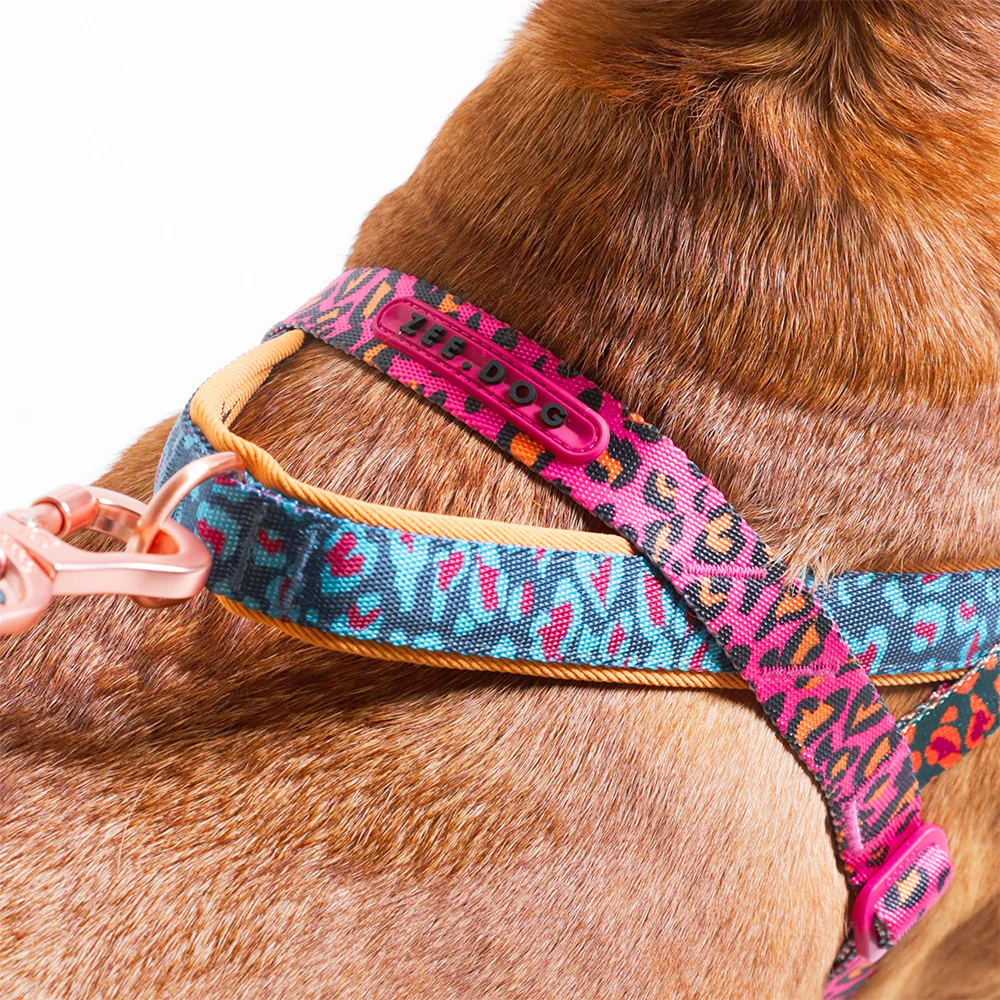 Selva | SofterWalk Harness - Image 5