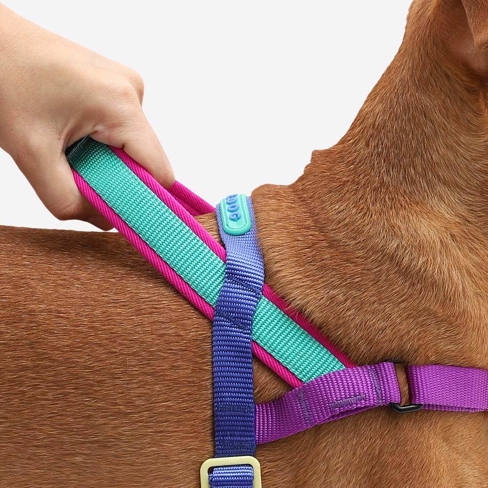 Shockwave | SofterWalk Harness - Image 4