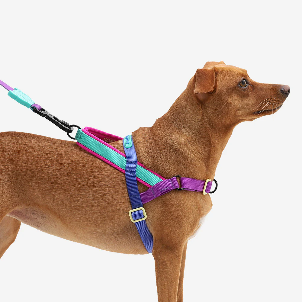 Shockwave | SofterWalk Harness - Image 5