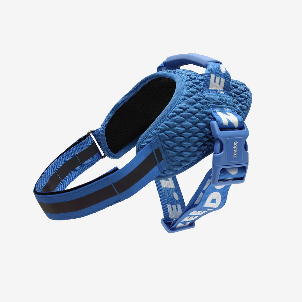 Slam Dunk | FlyHarness - Image 3