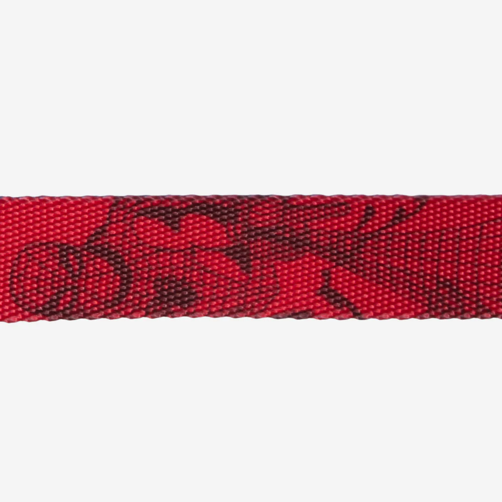 Spider-Man | Collar - Image 4