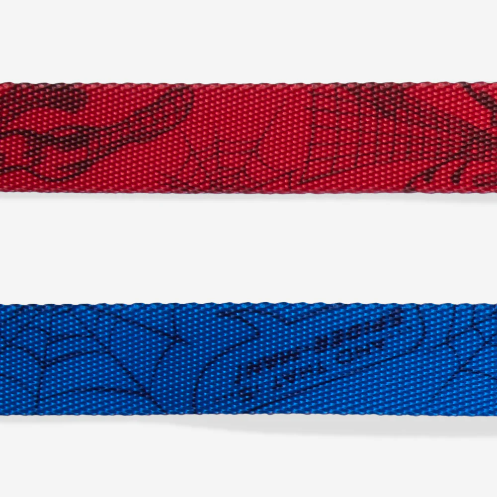 Spider-Man | Leash - Image 6