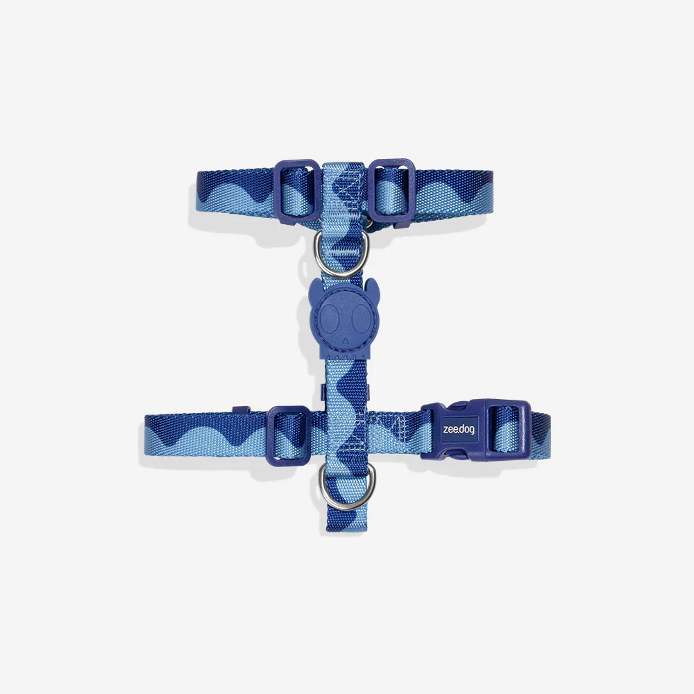 Swell | H Harness
