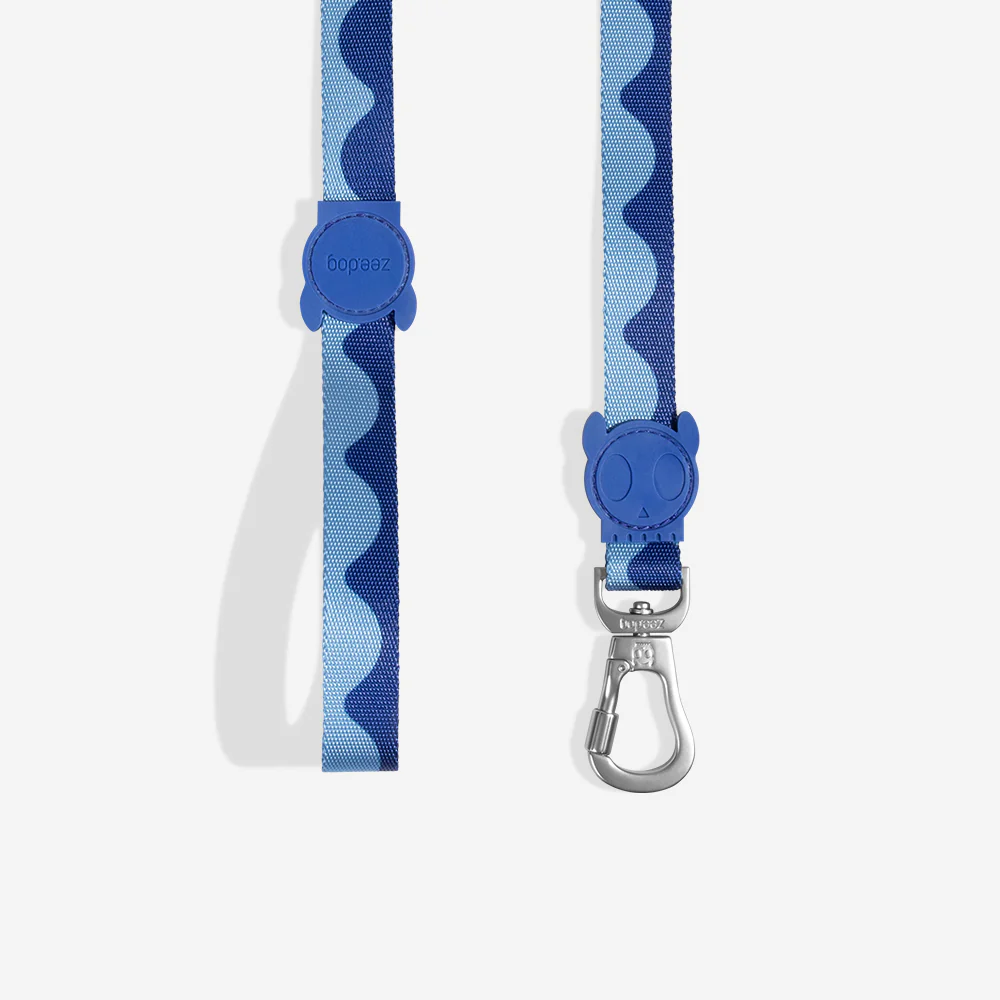 Swell | Leash