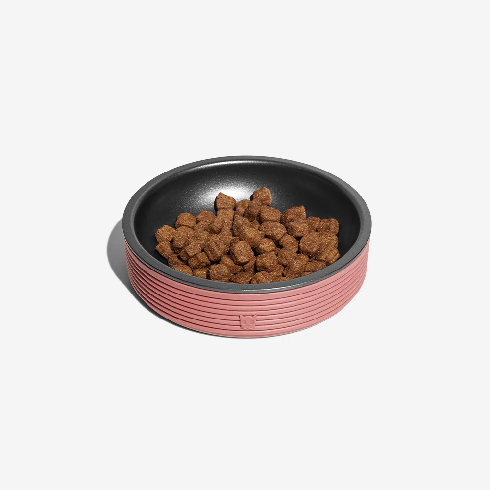 Terracotta | Duo Bowl - Image 3