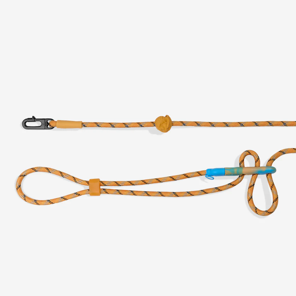 The Thing | Hands-Free Leash - Image 3