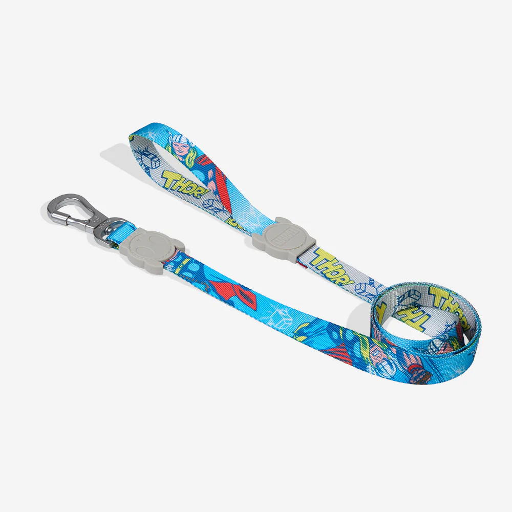 Thor | Leash - Image 3