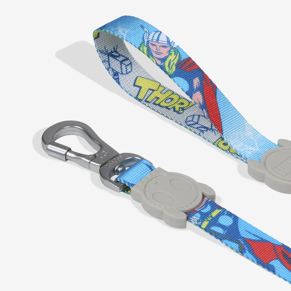 Thor | Leash - Image 4