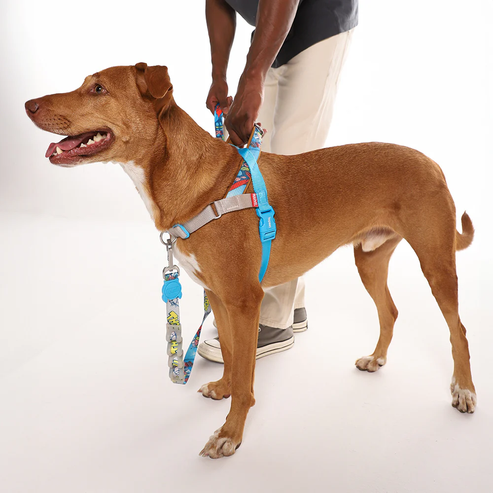 Thor | SofterWalk Harness - Image 2