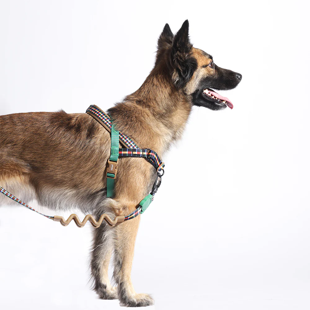 Travis | SofterWalk Harness - Image 2