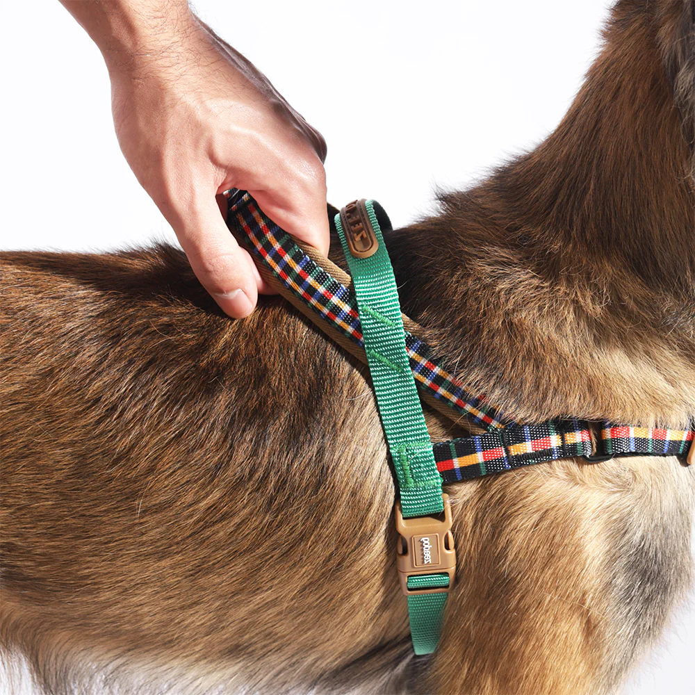 Travis | SofterWalk Harness - Image 3