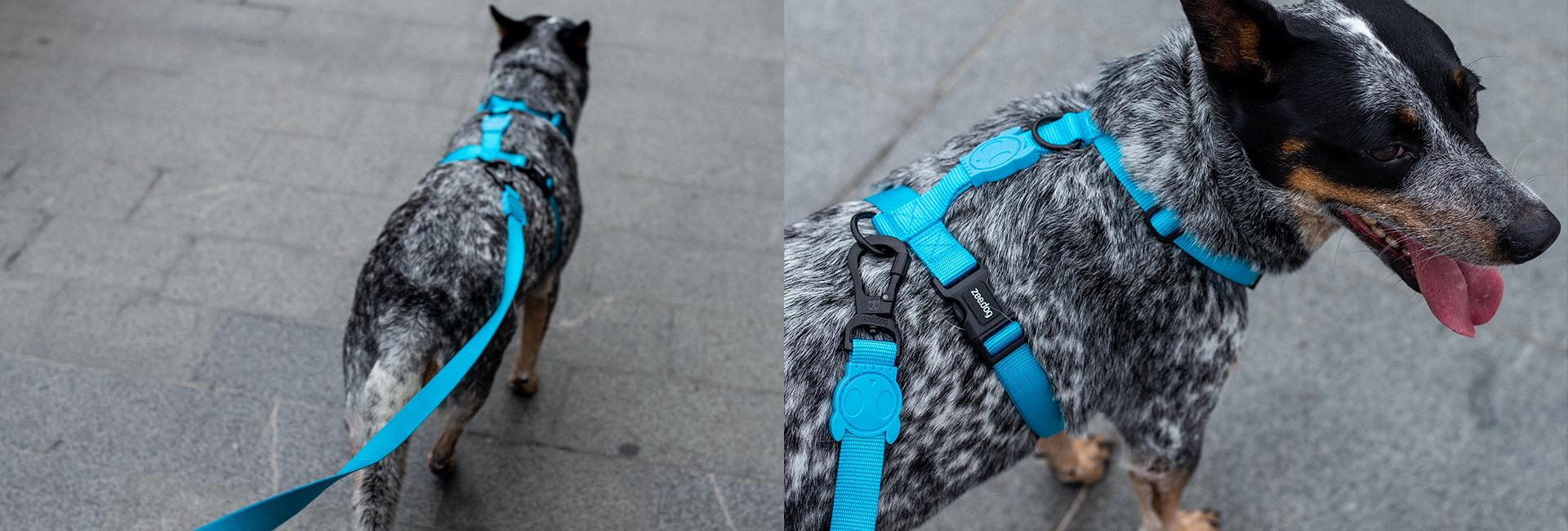 Ultimate Blue | Adjustable Air Mesh Harness - Image 10