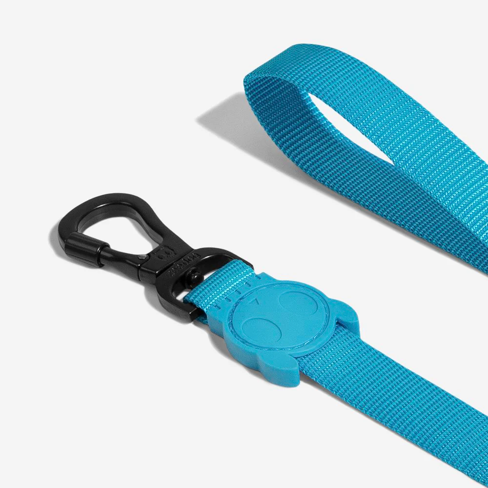 Ultimate Blue | Leash - Image 4