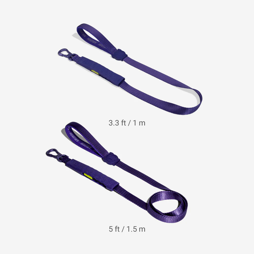 Violet | Airleash - Image 4
