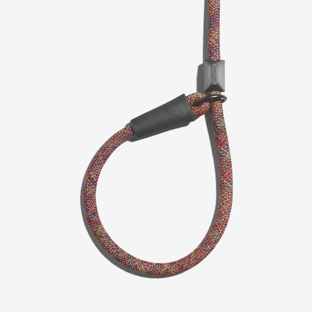 Vortex | Slip-on Leash - Image 3
