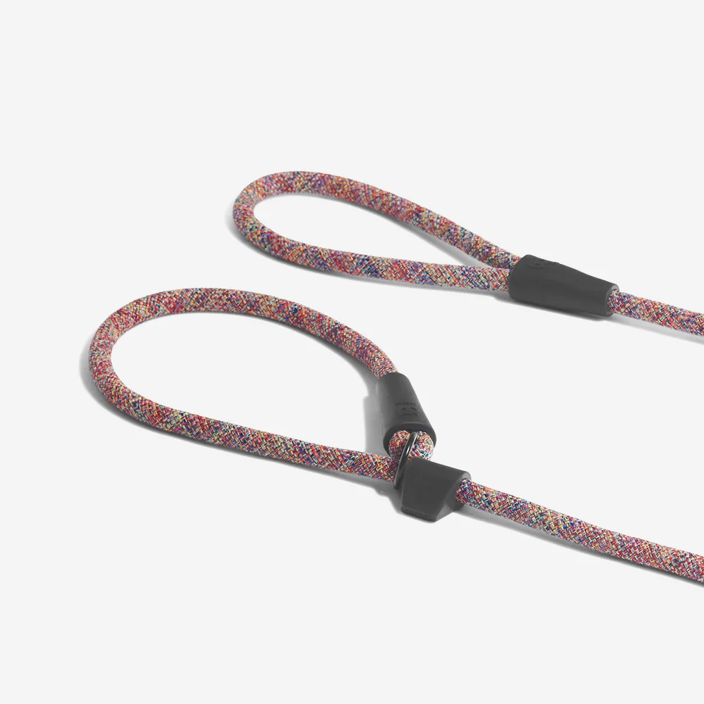 Vortex | Slip-on Leash - Image 4