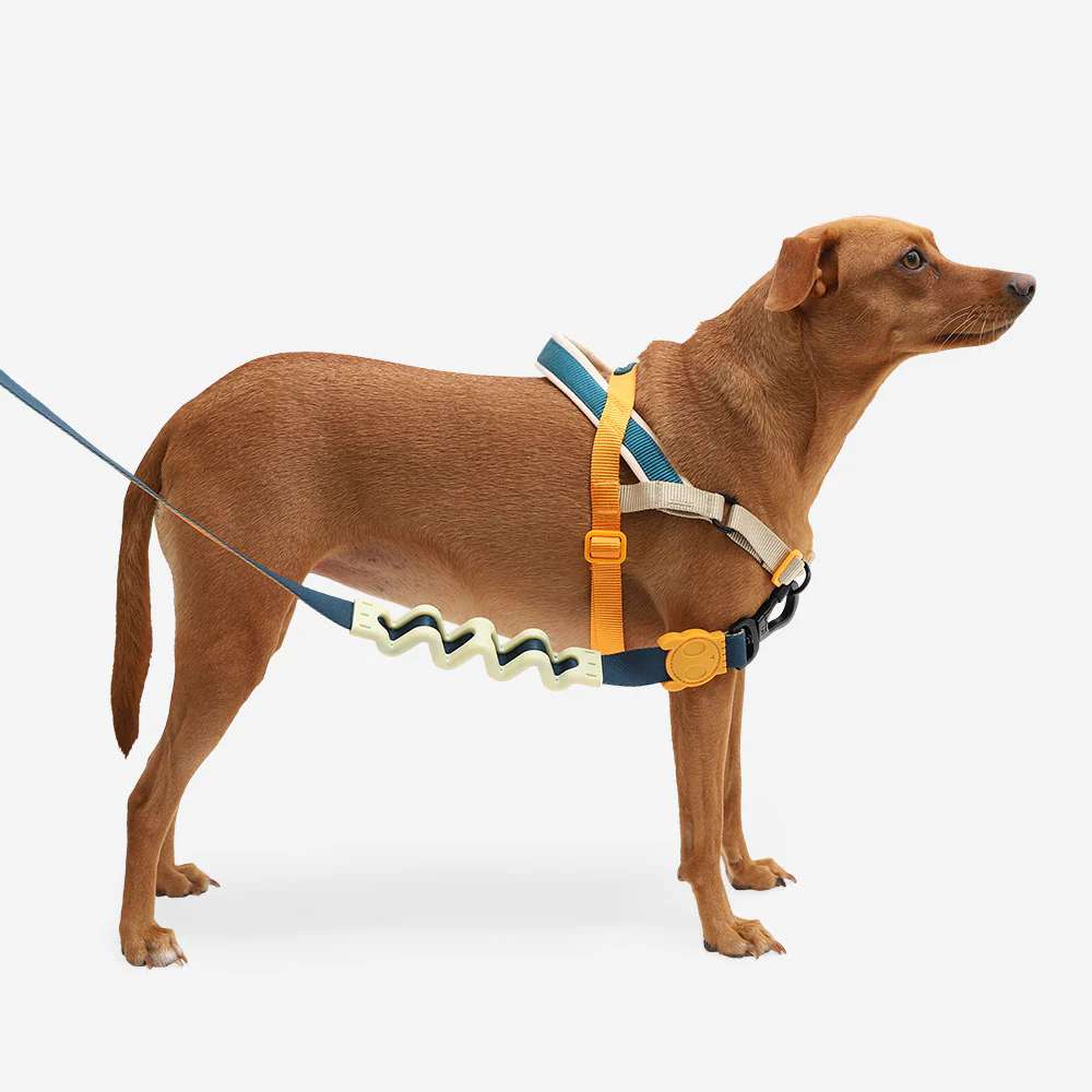 Voyage | SofterWalk Harness - Image 3