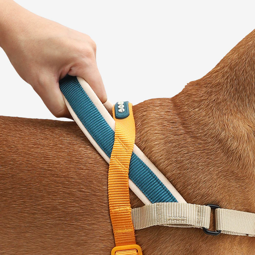Voyage | SofterWalk Harness - Image 4